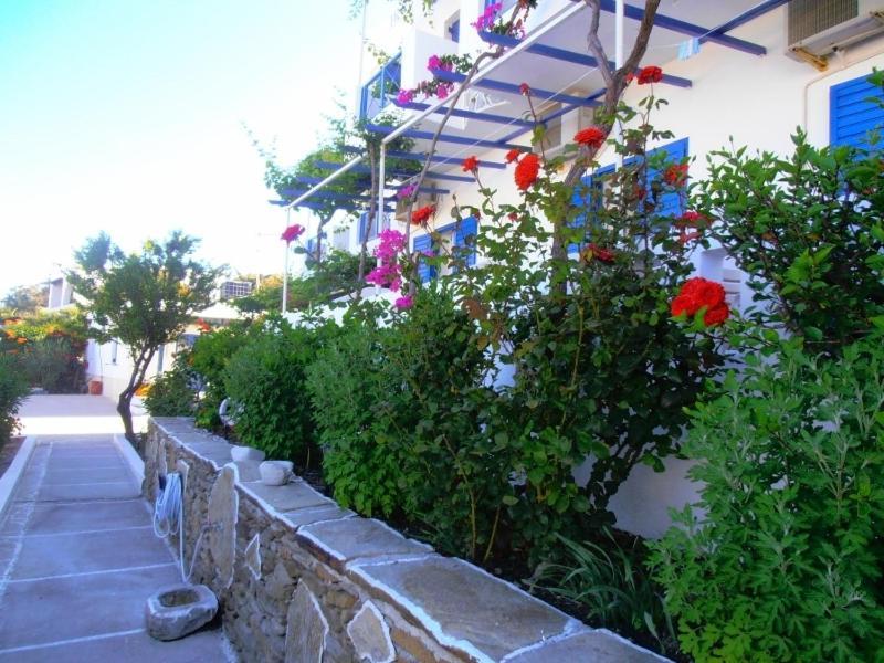Pension Irene Hotel Chora  Luaran gambar